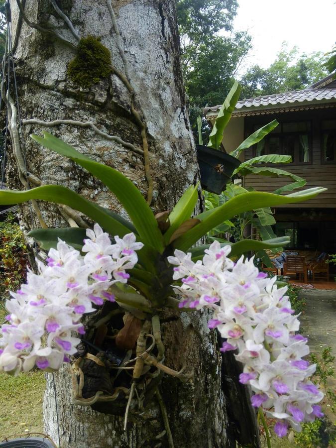 Koh Kood Little Hut Hotel Ko Kut Eksteriør billede