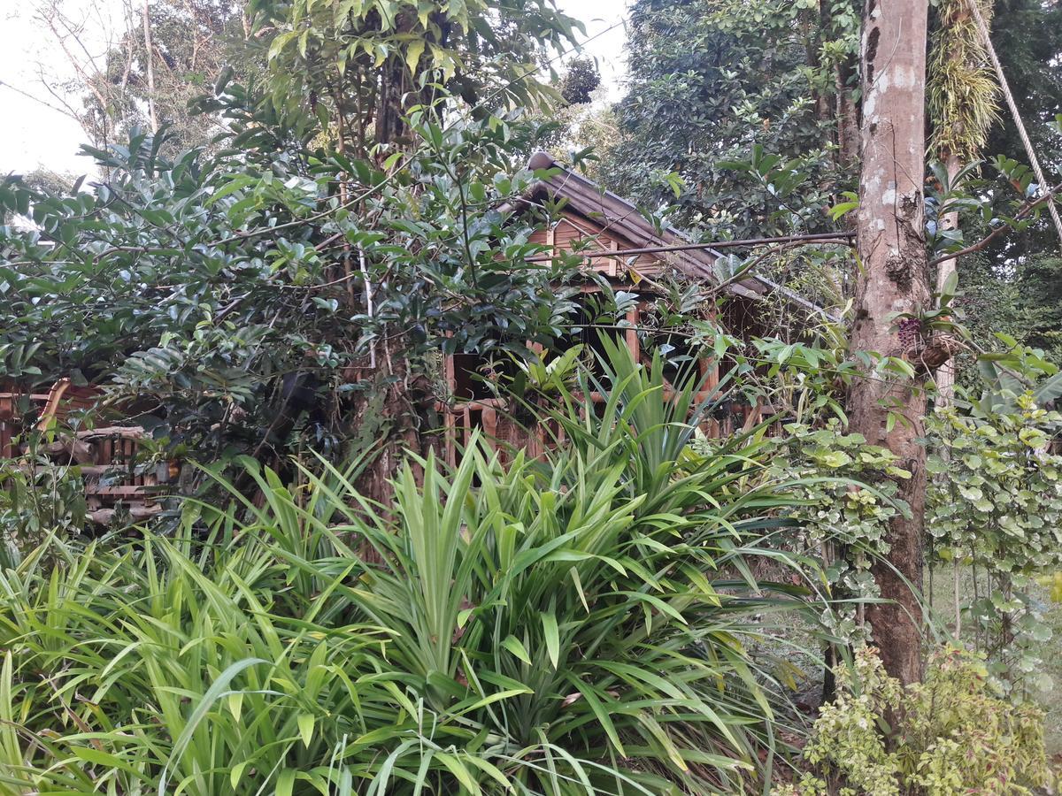 Koh Kood Little Hut Hotel Ko Kut Eksteriør billede