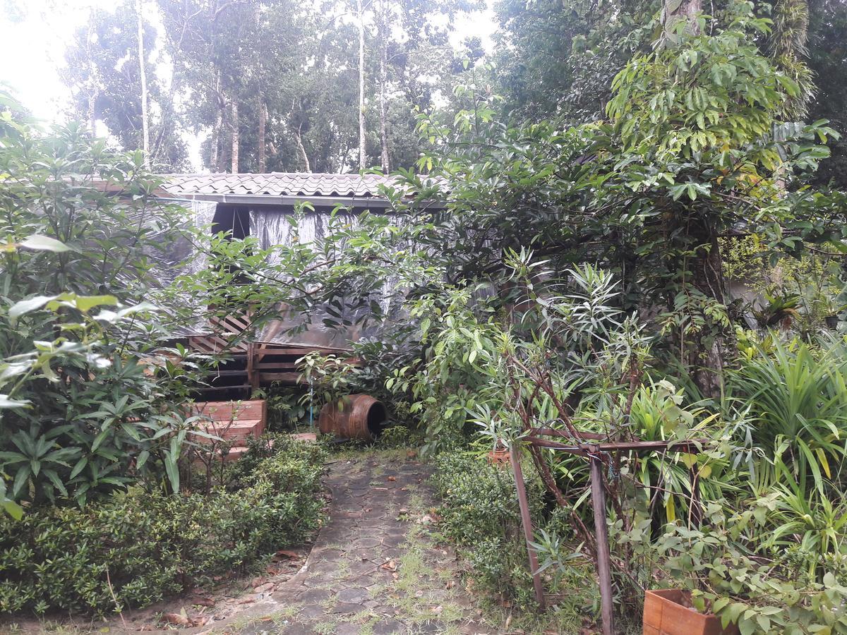 Koh Kood Little Hut Hotel Ko Kut Eksteriør billede