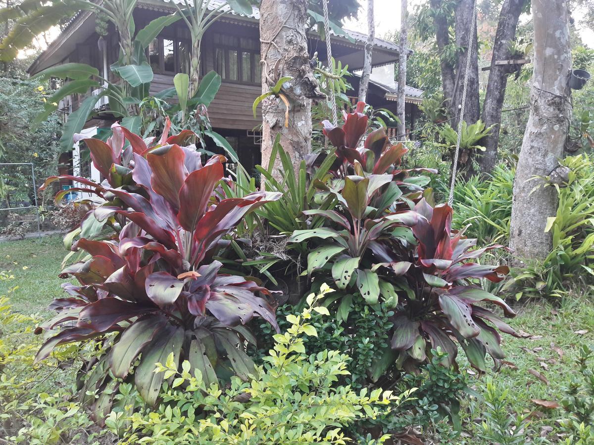 Koh Kood Little Hut Hotel Ko Kut Eksteriør billede