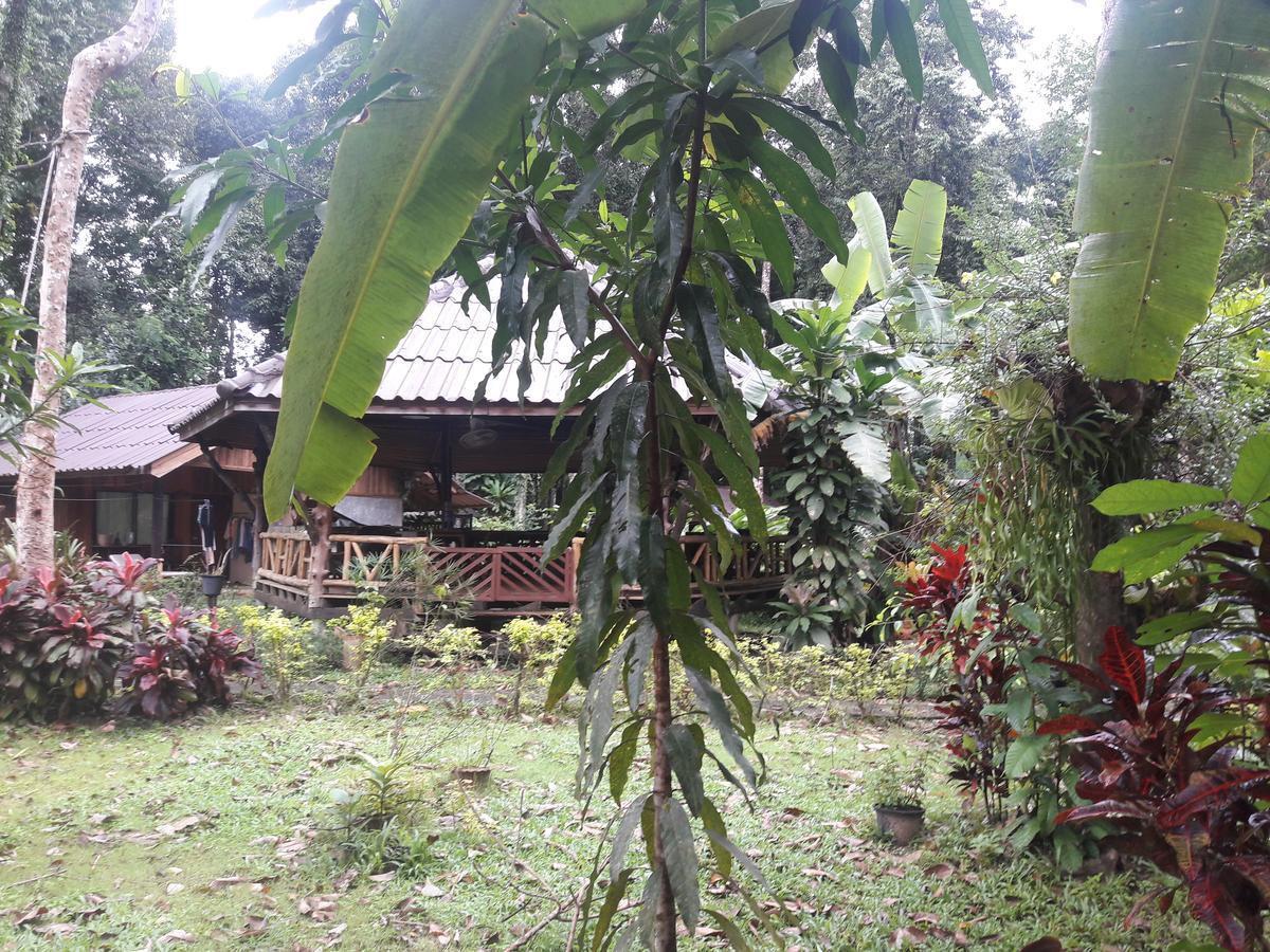Koh Kood Little Hut Hotel Ko Kut Eksteriør billede